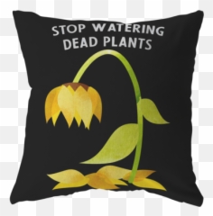 Tagged - Transparent Coffee Pillows Emoji,Whale Emoji Pillow
