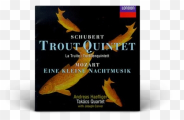 Recordings Andreas Haefliger - Koi Emoji,Schubert Book Emotions