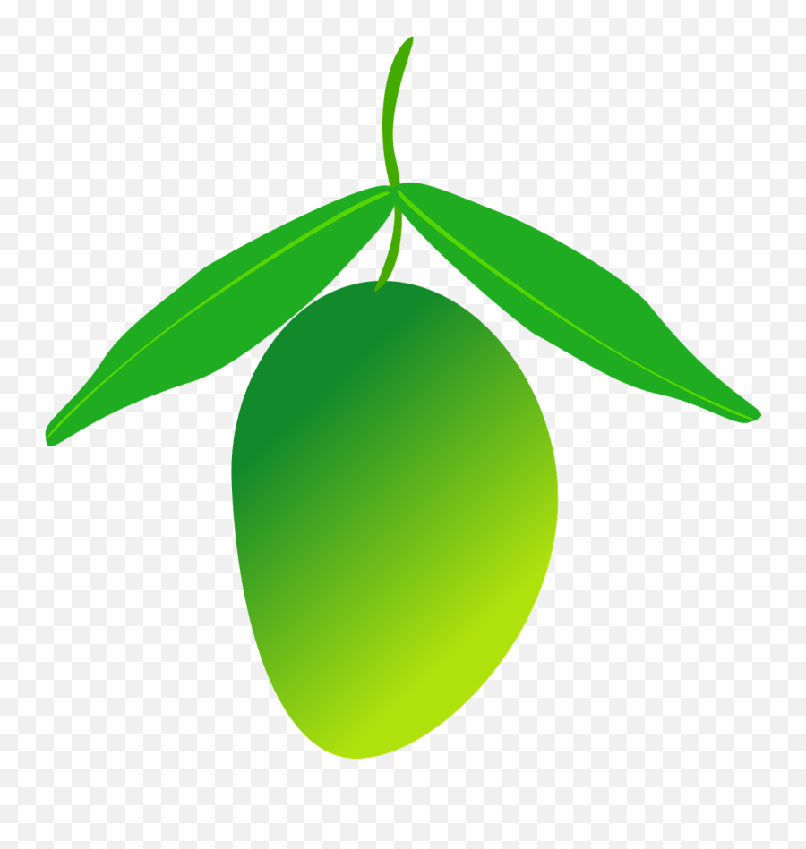 Mango Fruit Food Healthy Png Image - Green Mango Clipart Png Emoji,Transparent Mango Emoji