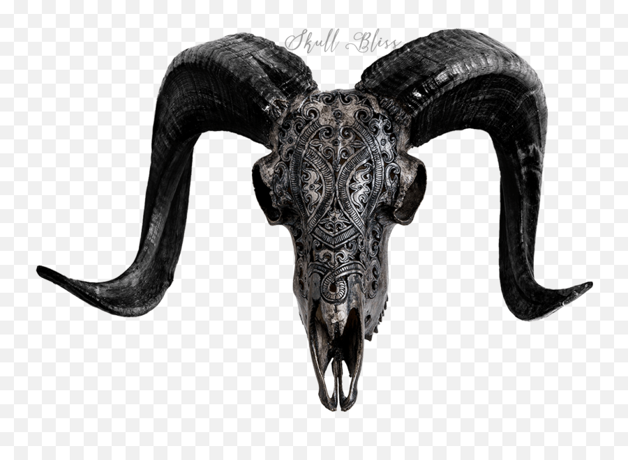 What Do Different - Goat Skull Hd Png Emoji,Fruits Represnting Emotions