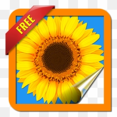 Art Of Vincent Van Gogh - Artes De Van Gogh Emoji,Trees Emotion Paintings Van Gogh