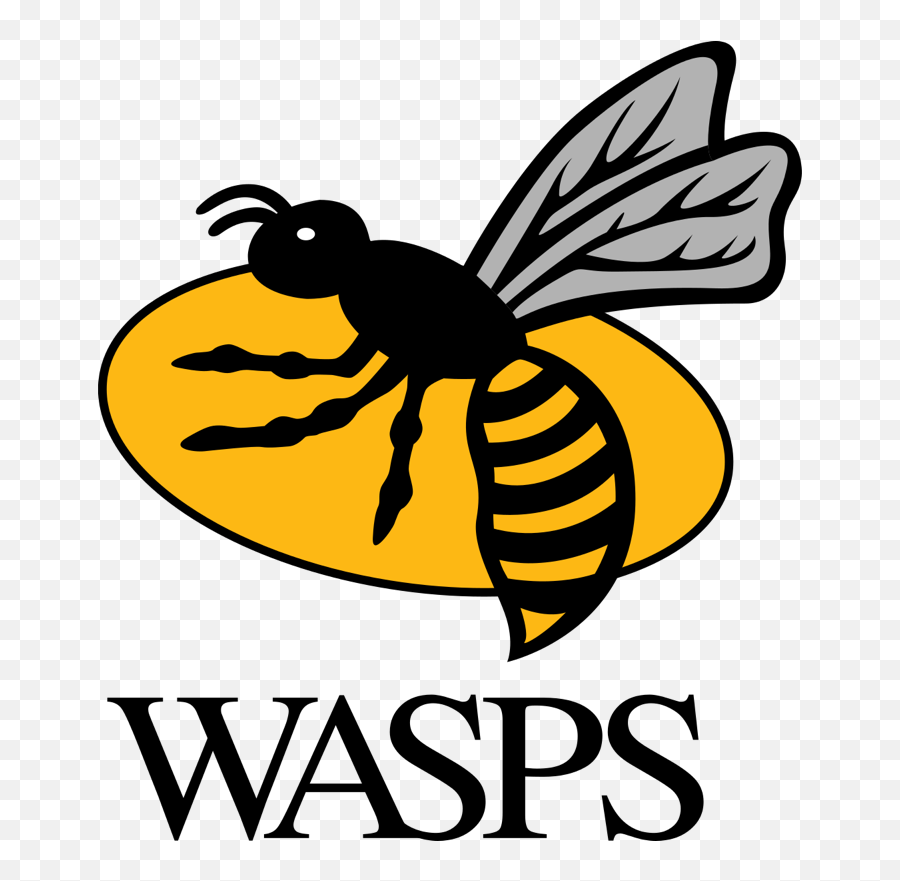 Wasps Rugby Emoji,Emoticon Hlava Kdo To Je Forum