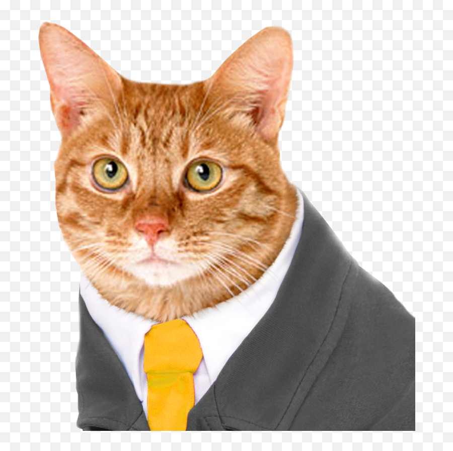 Pwgood - Cat With Suit Emoji,Trihard7 Emoji