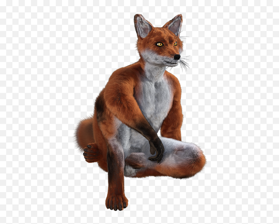 Free Photo Character Fantasy Fox Fuchs - Red Fox Emoji,Fox Amnimal Emotions