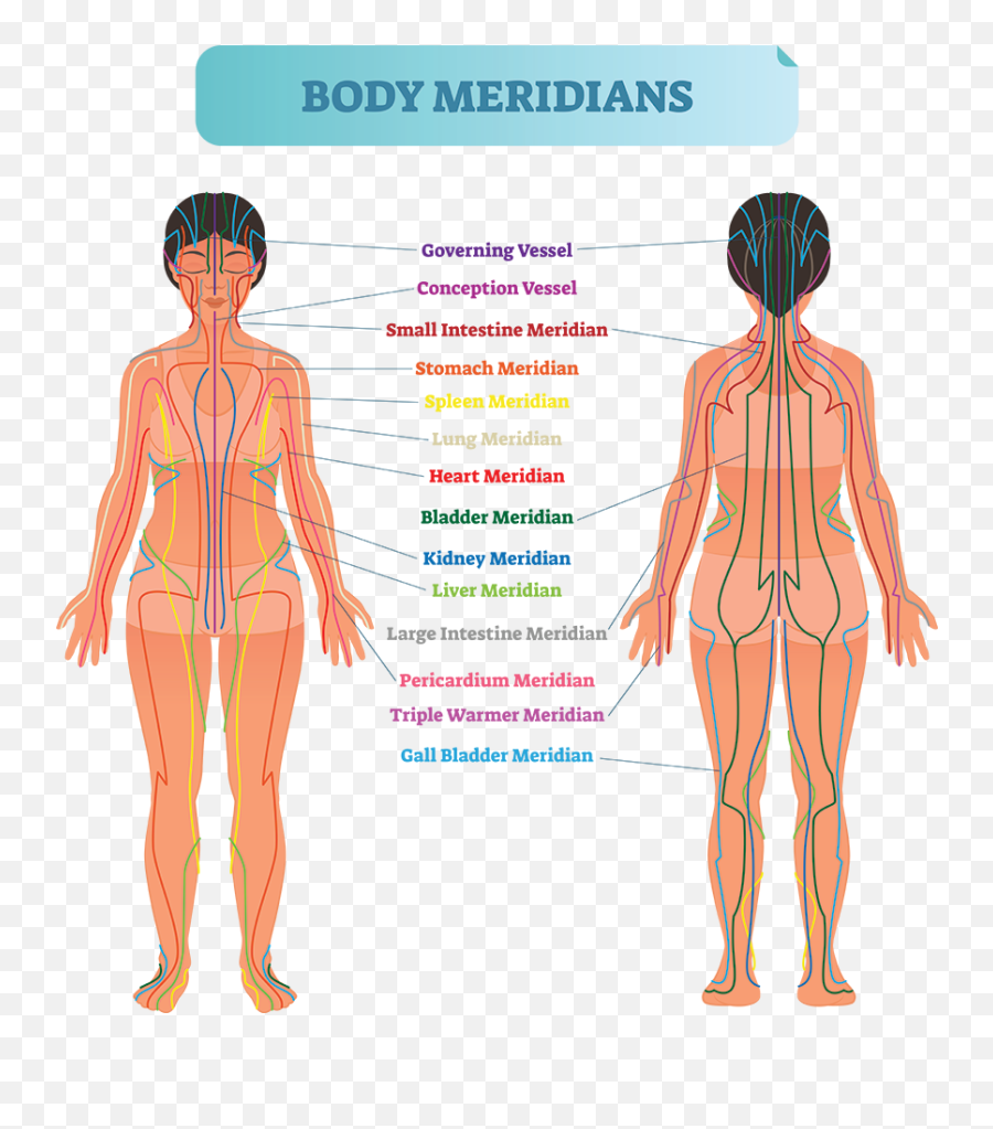 Qi Is Key - Body Acupuncture Meridians Emoji,Emotions Of The Large Intestine