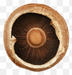 Umamiu0027s Favorite Mushrooms Recipe - Pass The Love Emoji,Mochi America Emoticon