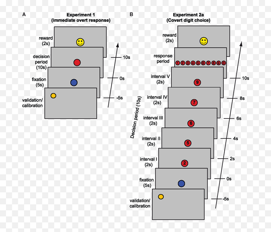 Frontiers Pupil Dilation Betrays The Timing Of Decisions Emoji,Iris Muscle Emotion