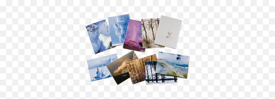 Tom Murphy Yellowstone Photographer Emoji,Emotion Notecard Tom Murphy Yellowstone Photographer Emoji,Emotion Notecard