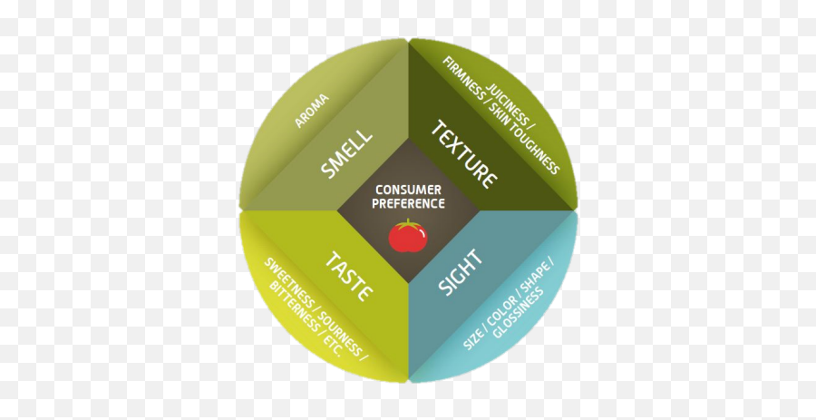 Sensory Science The Art Of Perception And Preference - Vertical Emoji,Emotion Color Synesthesia