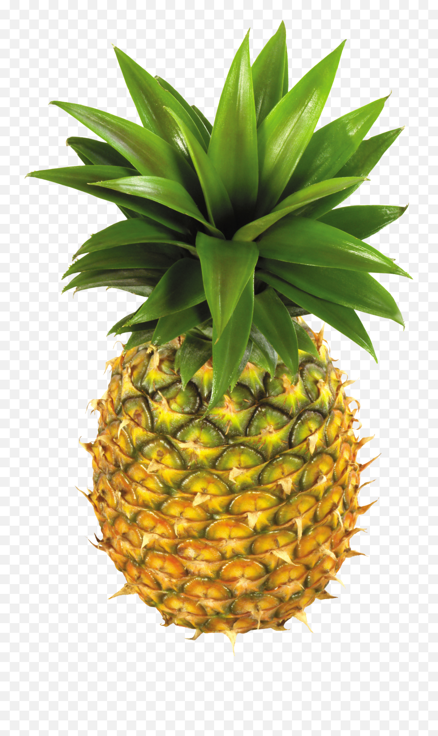 Clipart Crown Pineapple Clipart Crown - Pineapple Fruits Png Emoji,Pineapple Emoji Pillow