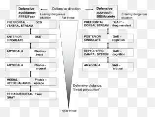 The Reinforcement Sensitivity Theory Of Personality Chapter - Revised Reinforcement Sensitivity Theory Emoji,Theories Of Emotion
