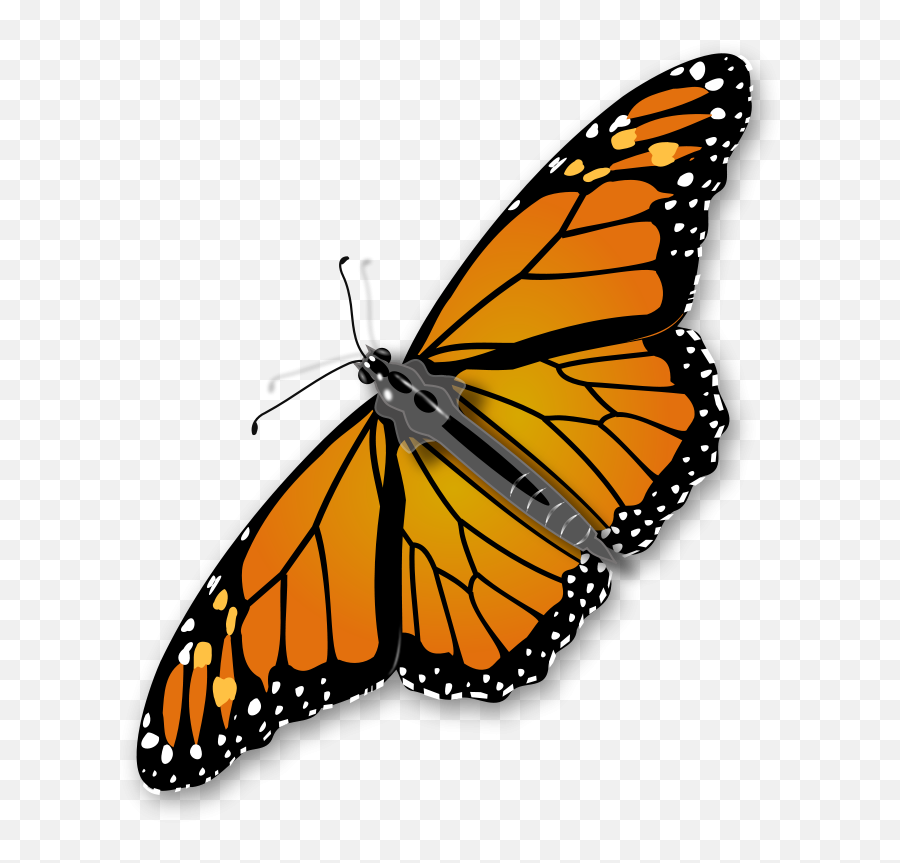 Arquivos Psd Vetores E Gráficos De Monarch Butterfly Gratuitos - Monarch Butterfly Transparent Background Emoji,Emoticons De Borboleta