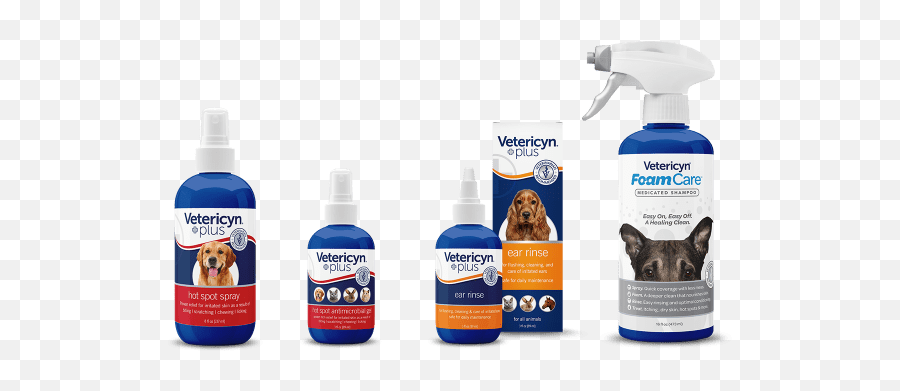 How To Care For Yeast Infections In Dogs - Vetericyn Foamcare Medicated Pet Shampoo Emoji,Sweet Emotions Doggie Paw Balm