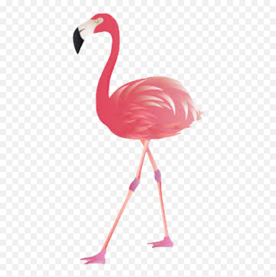 Flamingo Emoji Kawaii Cute Sticker - Transparent Background Png Download Transparent Transparent Background Flamingo Clipart,Flamingo Emoji