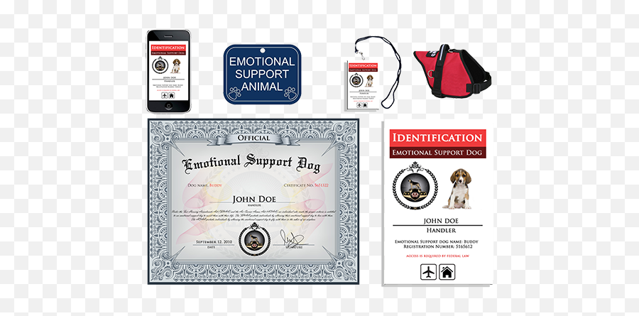 110 Dog Grooming Ideas Dog Grooming Grooming Dog Groomers - Us Service Dog Certificate Emoji,Tommy Lee Jones Emotions