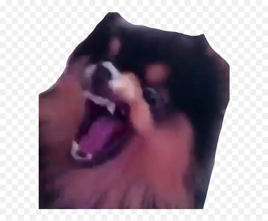 The Most Edited - Meme Yeontan Emoji,Yeontan Emoticon