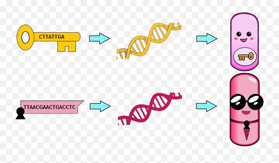 Description - Cryptogerm Igem Groningen 2016 Dot Emoji,Emoticon Dna Strand