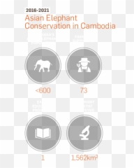 Cambodian Elephants Projects Wildlife Warriors And The - Language Emoji,Elephants Emotions Oregon
