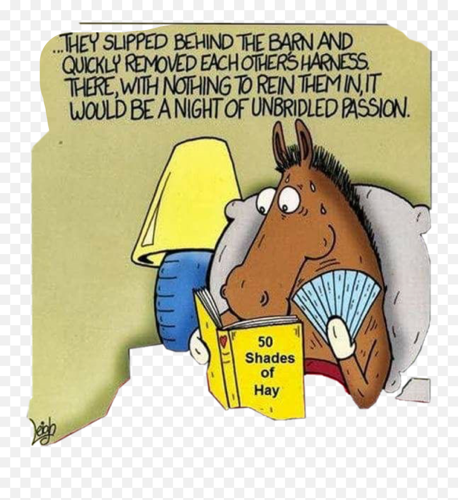 Comic Horse Sexy Hay Sticker - Funny Saturday Night Jokes Emoji,Horse Emoji Pillow