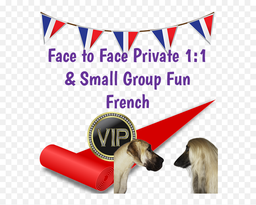 Private Fun French Lesson With Cécilebb 11 U0026 Small Groups Emoji,Fre3nch Words Emotions