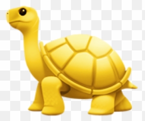 Ranked Emoji,Turtle Emoji