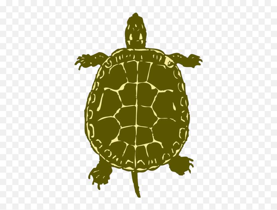 Boy And Turtle Png Svg Clip Art For Web - Download Clip Art Emoji,Android Turtle Emoji