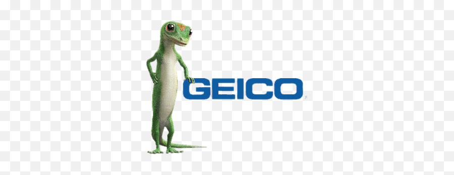 Geico Logo With Gecko Standing Transparent Png - Stickpng Emoji,Racce Flag Emoji