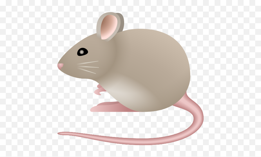 Mouse Stock Photos U0026 Images For Free Emoji,Rat Emojii.