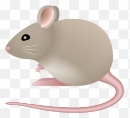 Mouse Stock Photos U0026 Images For Free Emoji,Rat Emojii.