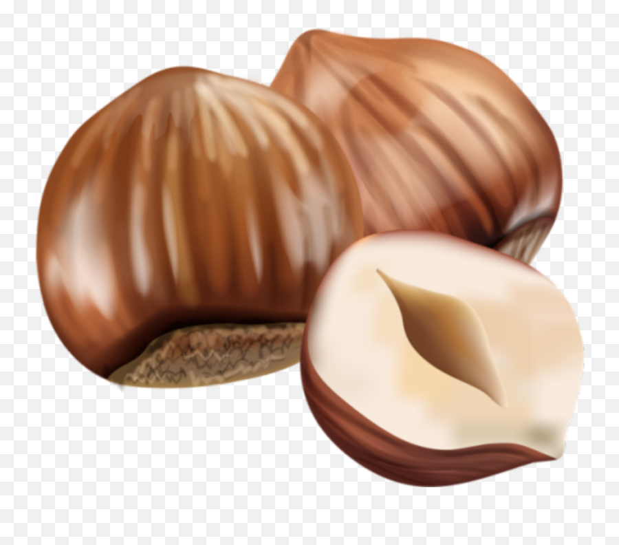 Hazelnut Nuts Sticker - Superfood Emoji,Hazelnut Emoji