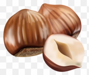 Hazelnut Nuts Sticker - Superfood Emoji,Hazelnut Emoji