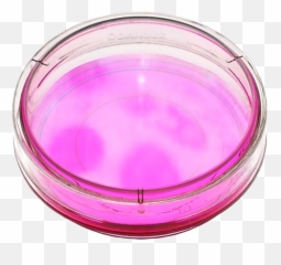 Largest Collection Of Free - Toedit Stickers On Picsart Food Storage Containers Emoji,Petri Dish Emoji