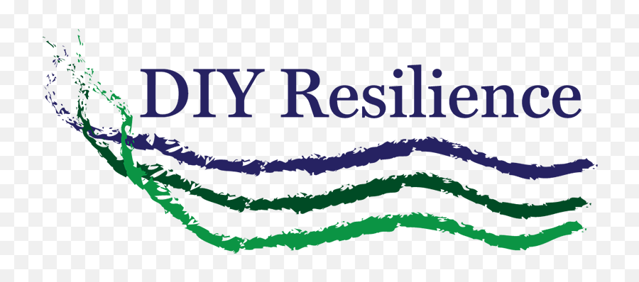 What Is Resilience Diy Resilience - Language Emoji,Emotion Remake