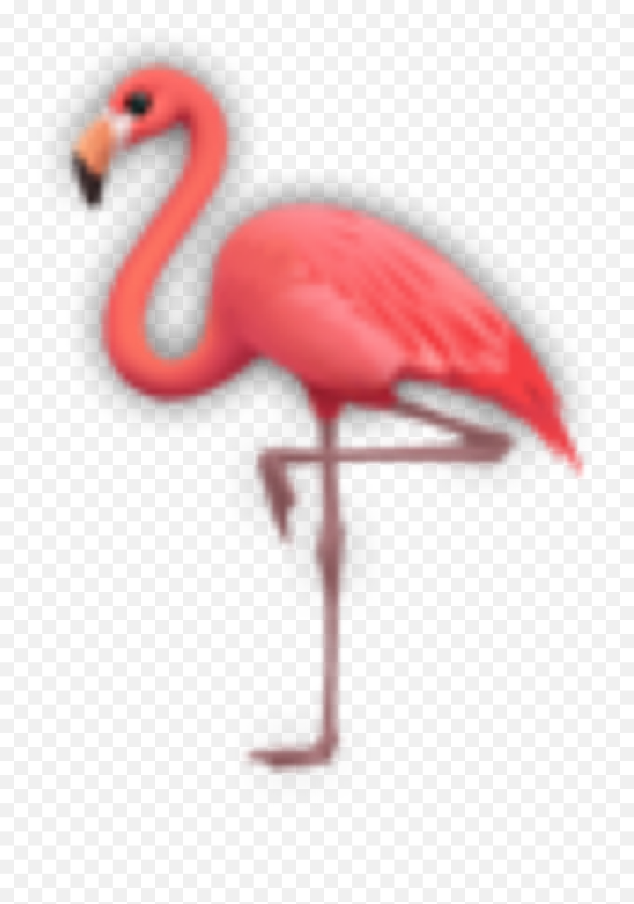 Flamingo Flamingos Emoji Sticker - Iphone,Flamingo Emoji