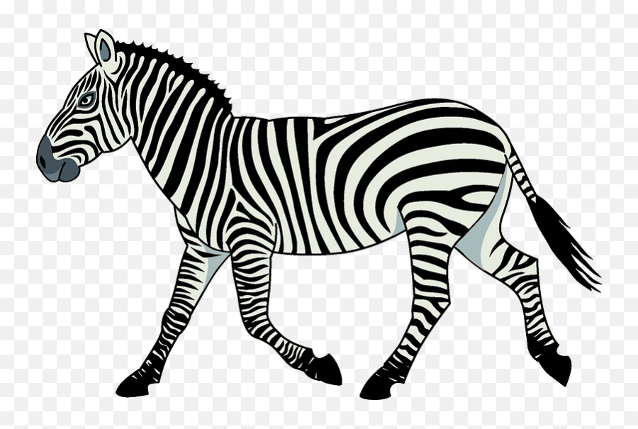 Animal Quiz - Baamboozle Zebra Picture Clipart Emoji,Tiger Elephant Zebra Giraffe Monkey Emoji