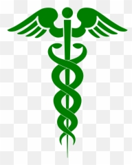 January 2021 U2013 Nike N Chillemi Mystery U0026 A Merry Heart - Pharmacy Symbol Emoji,The Emotion Code Snake Oil