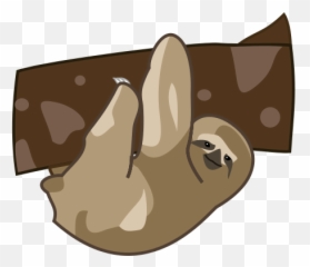 Nature - Transparent Backround Sloths Cartoon Emoji,Corruption Emotion Pictues