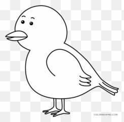 Black And White Bird Coloring Pages - Black And White Outline Bird Clipart Emoji,Bambi Mother Birds Emotion