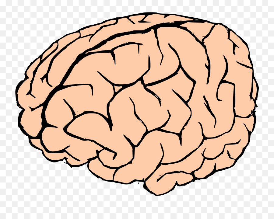 Clipart Brain Emoji Clipart Brain - Brain Clipart Transparent Background,Brain Emoji