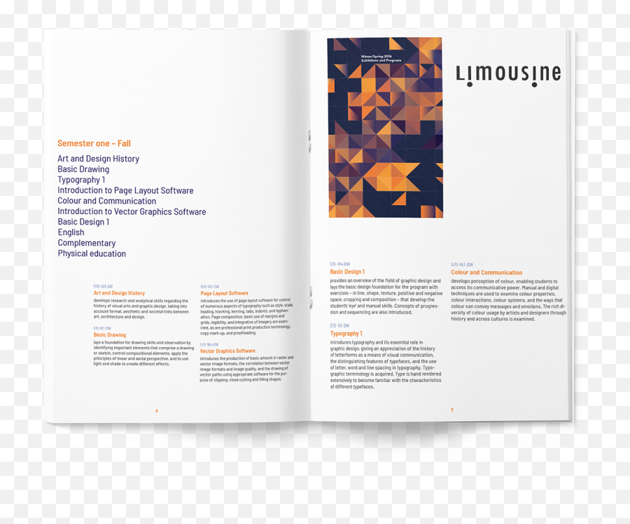Publication Graphic Design Brochure - Vertical Emoji,Graphic Novel Page Layout To Convey Emotion