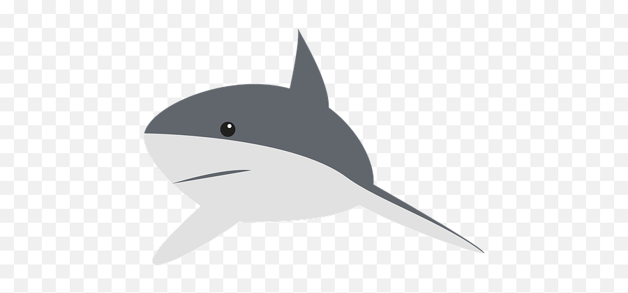 200 Free Shark U0026 Fish Illustrations - Pixabay Cartoon Shark Clipart Emoji,Shark Fin Emoji