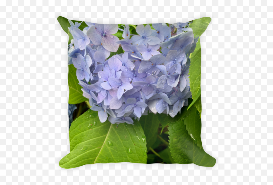 Pillows U2013 Selula - Ashy Hydrangea Emoji,Flower Throwing Emoticon