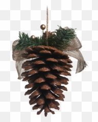 Pine Cone Sticker - Shortleaf Pine Emoji,Pine Cone Emoji