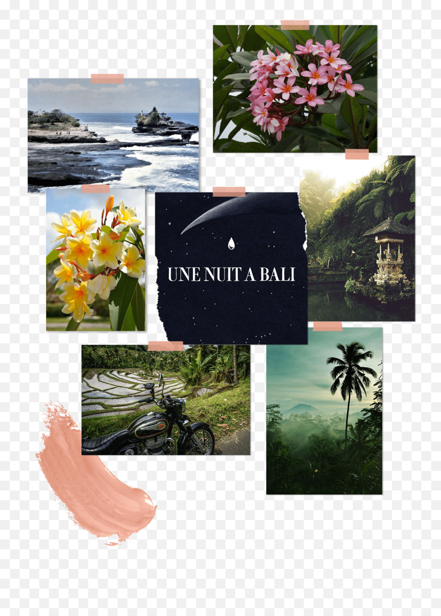 Olfactive Nomadism - Une Nuit Nomade Palm Trees Emoji,Capotes Emotion