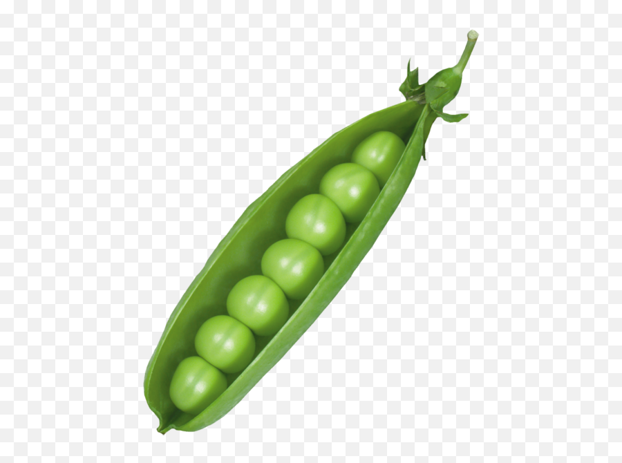 Pea Pod Png Picture - Pea Pod Emoji,Peas In A Pod Emoji