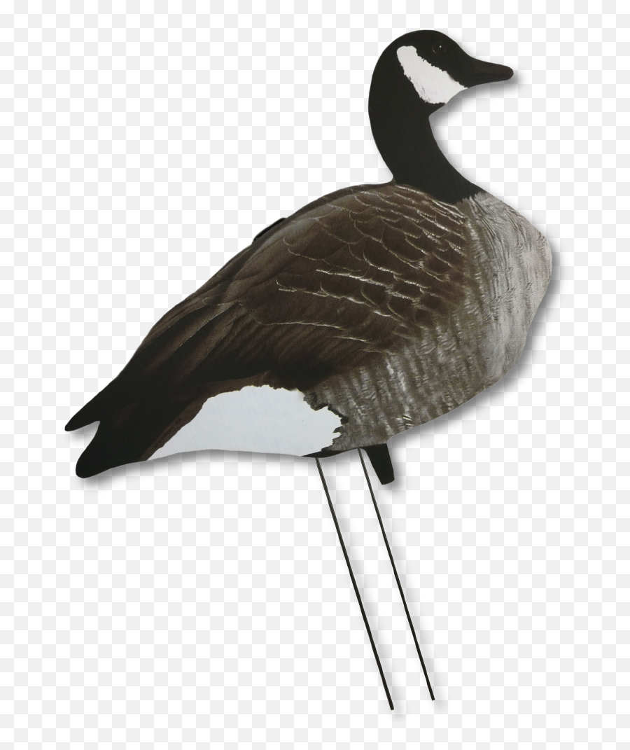 Big Als Silhouette Canada Goose Decoys - Canada Goose Emoji,Canadian Goose Emoticon