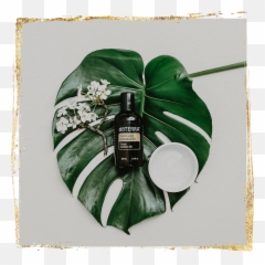 Essential Oils U2014 Jessica Goodman - Glass Bottle Emoji,Essential Oil Images And Emotions