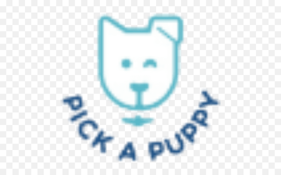 Labrador Retriever - Pick A Puppy Emoji,Handicap Leopard Emotion Garter