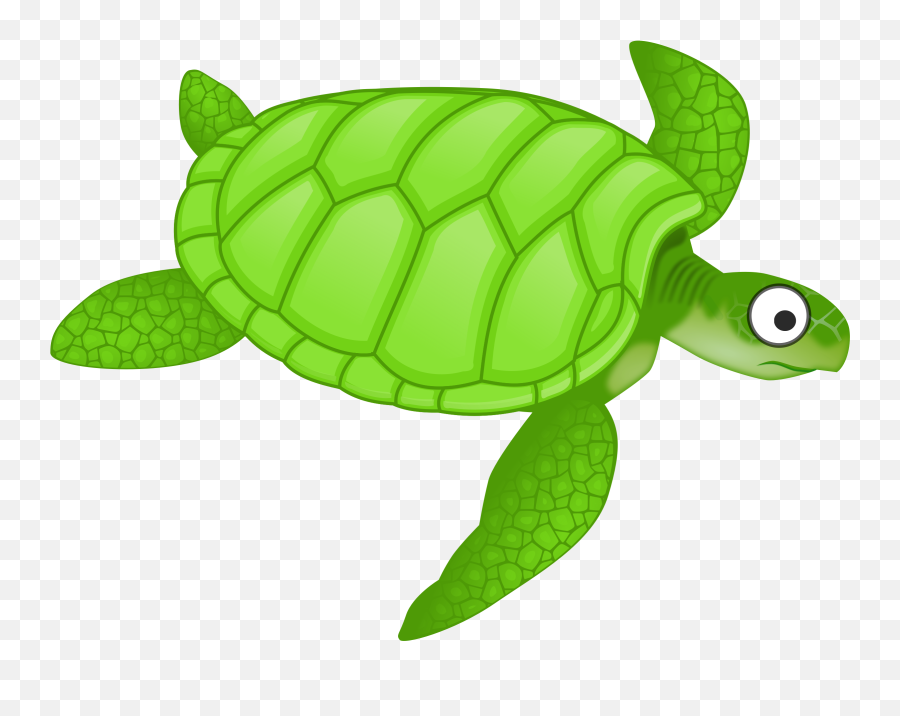 Free Turtle Png Clipart Download Free Turtle Png Clipart Emoji,Turtle Emoji