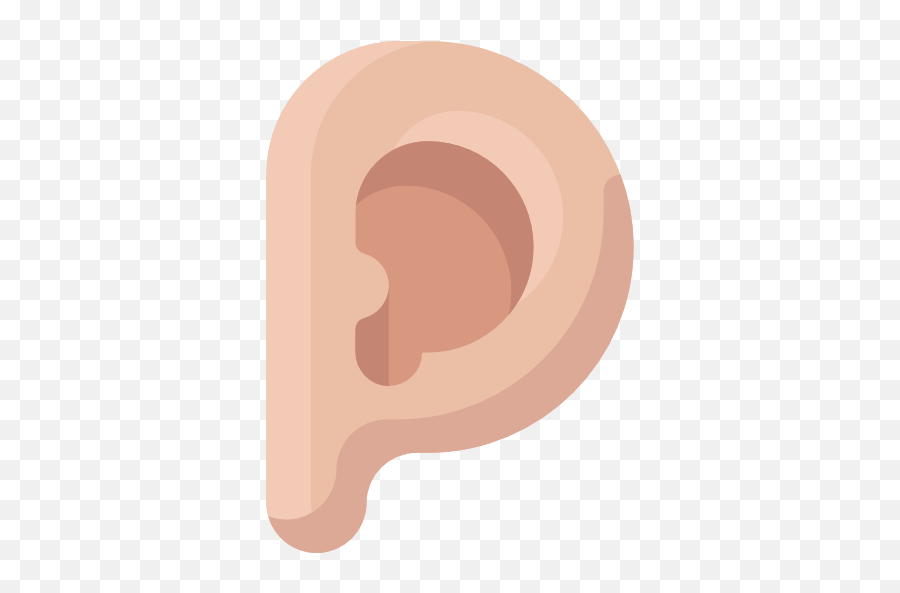 Anatomy Healthcare And Medical Medical Body Parts Ear Icon Emoji,Anatomical Emoji